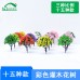 建筑沙盤微場景觀仿真模型樹diy手工制作材料塑膠迷你小灌木花樹