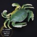 仿真海鮮模型生鮮果蔬菜品扇貝生蠔海參鮑魚魷魚螃蟹龍蝦道具玩具