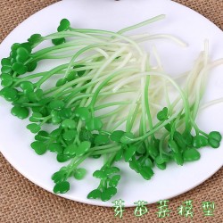 仿真菜苗模型豆芽菜芽苗菜雞毛菜品品種菜品配件搭配拍攝道具玩具 仿真菜苗模型豆芽菜芽苗菜雞毛菜品品種菜品配件搭配拍攝道具玩具