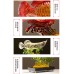金龍魚年年有余開業擺件招財輕奢高檔酒柜裝飾品客廳辦公室領導